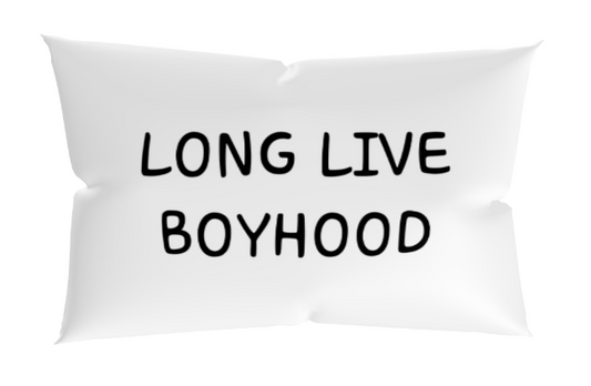 long live boyhood pillow 